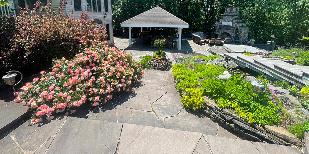 Hampstead MD Landscape Flowers Shrubs