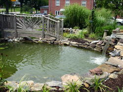 Pond Design Maryland