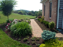 Walkway Plantings Maryland