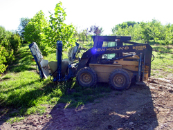 carroll county md plant nursery